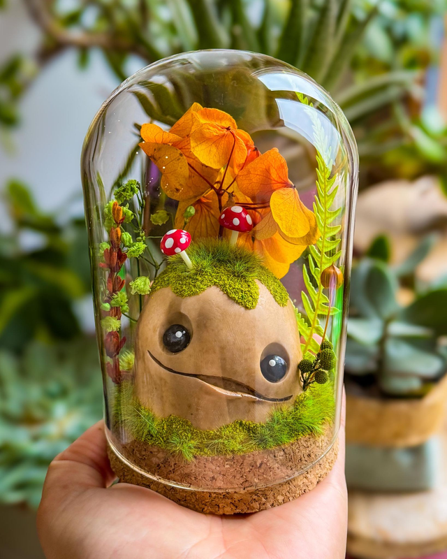 Colline / Beige amanites / Cloche en verre