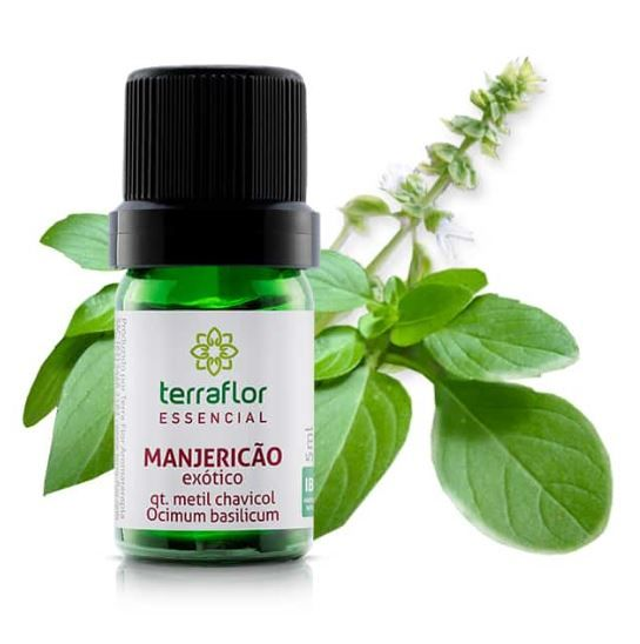 Manjericão Exótico qt. metil chavicol 5ml - Terra Flor