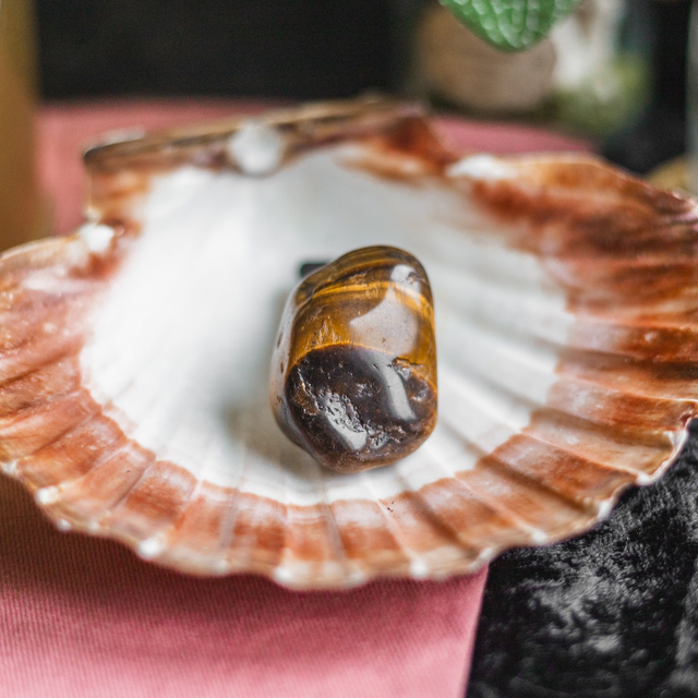 Tiger&#039;s Eye Car Vent Clip Tumble