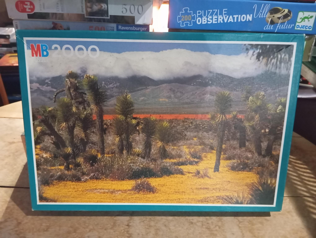 Puzzle MB 2000 pièces paysage