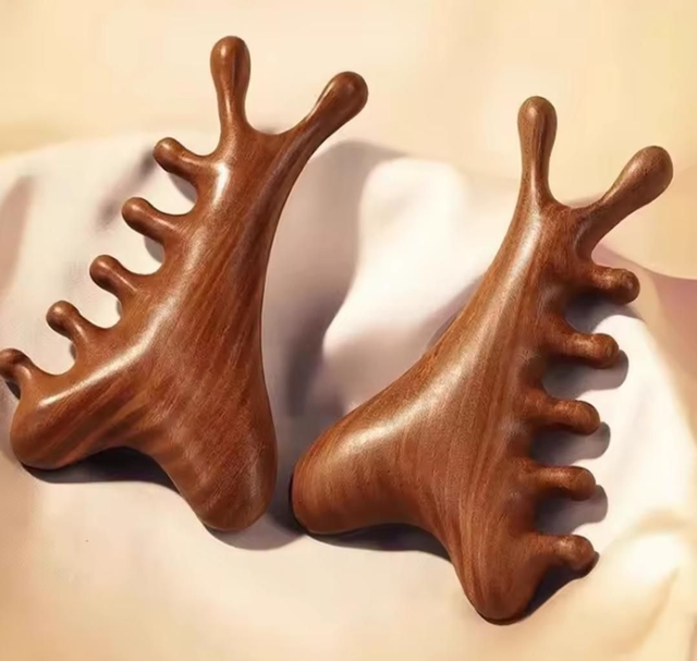 Brosse de massage multifonction 