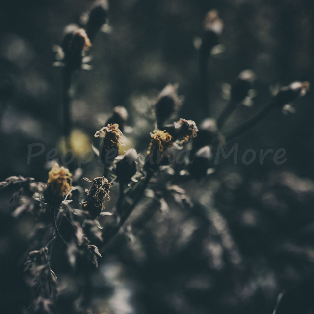 2025-47 Paint it Black