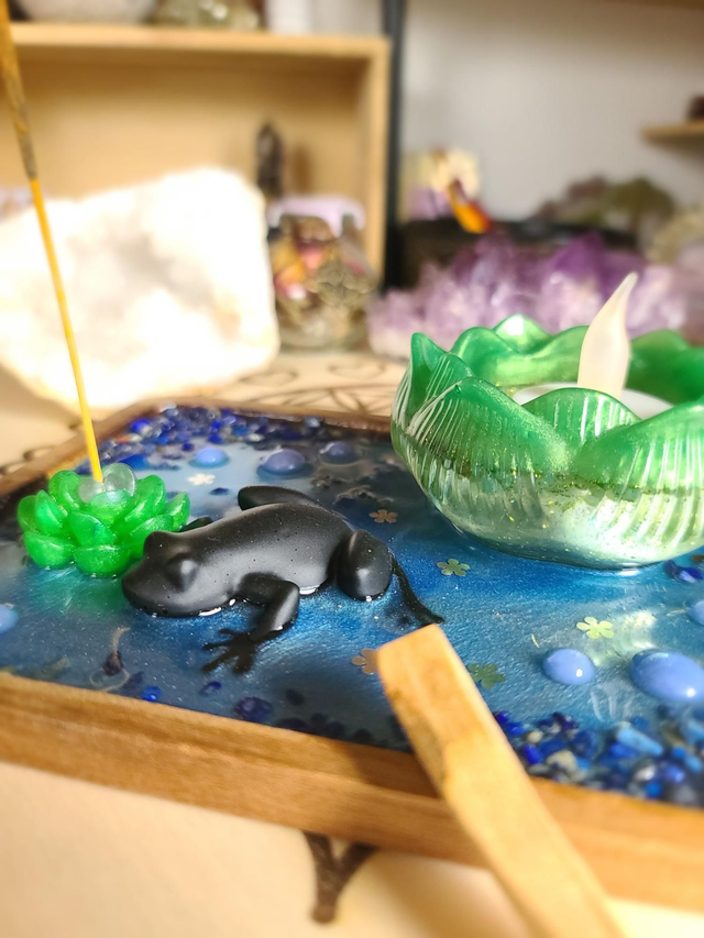 Plateau de fumigation 🐸 Métamorphose de la grenouille rectangulaire