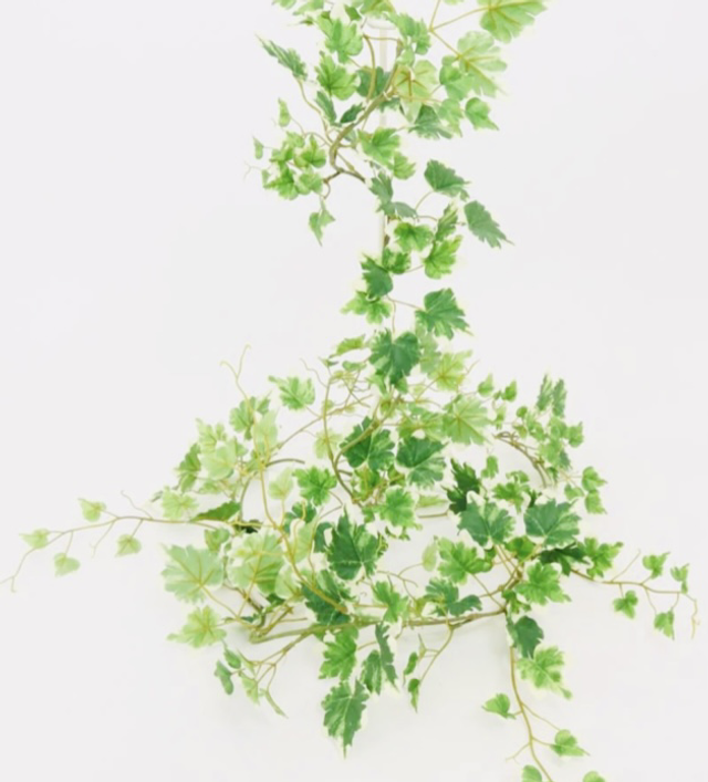 Vined Ivy Garland Variegated