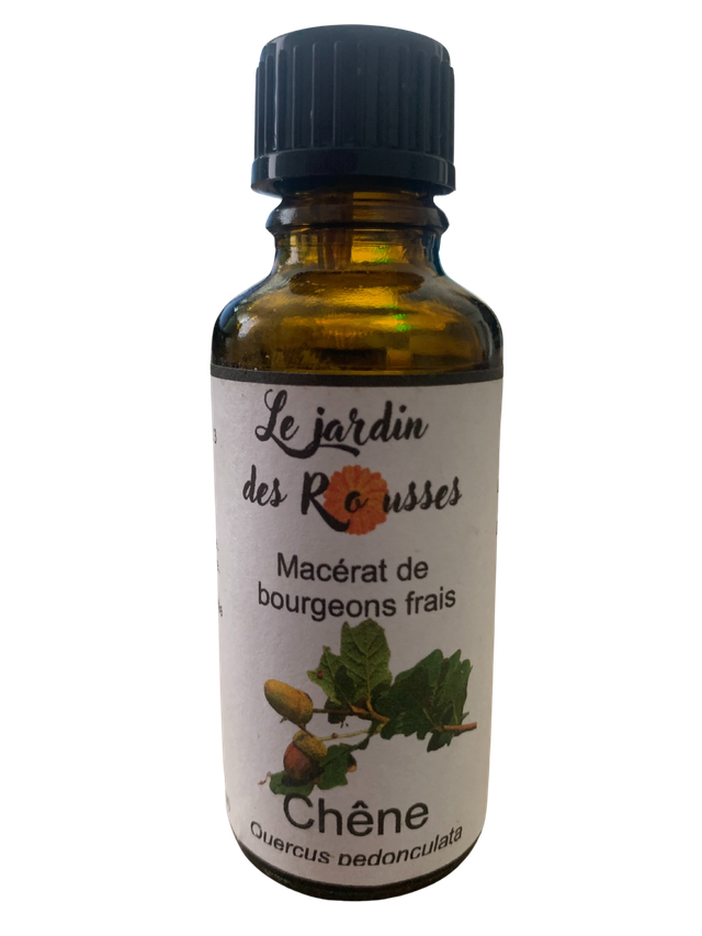 CHENE- Macérât glycériné de bourgeons Flacon de 30 ml