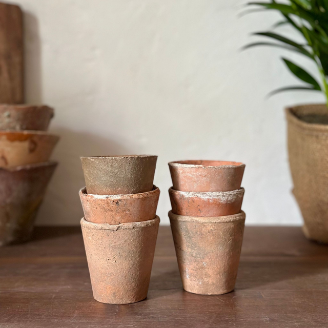 les petits pots à semis