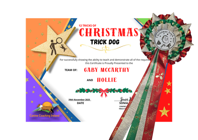 Christmas- Cert &amp; Rosette   