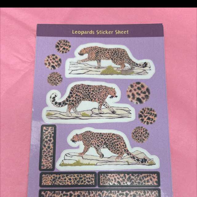 Leopards sticker sheet Amelia Paveley 