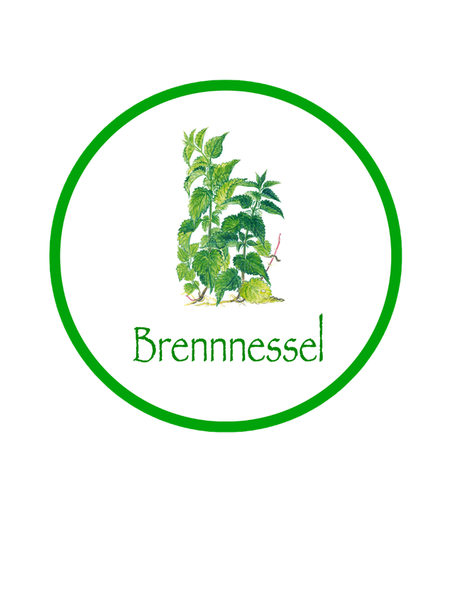 BIO Kräuterpellets Brennnessel
