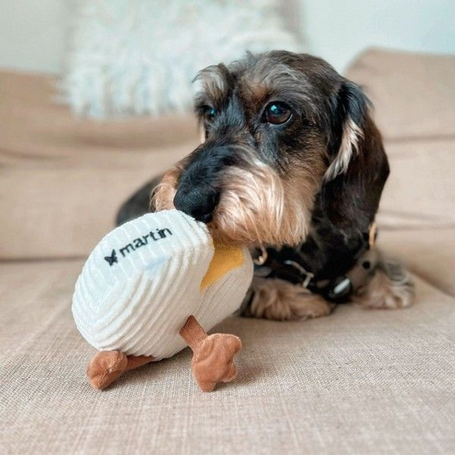PELUCHE CAMEMBERT POUR CHIENS MARQUE MARTIN SELLIER.