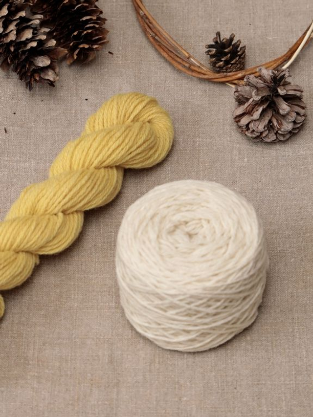 Coffret Tricot "Le Bonnet" - Bicolore