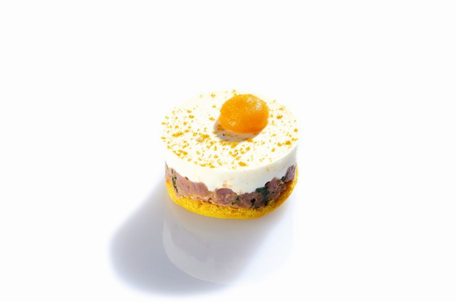 ATF28031 Entenbrust, Frischkäse und Mango-Kardamom-Gel  (35x30g)