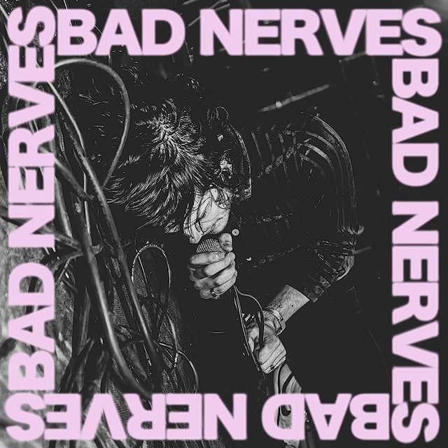 BAD NERVES S/T