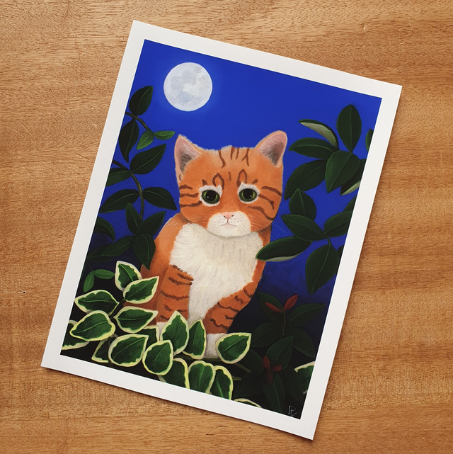 Impression &quot;Sunshine in the moonlight&quot;