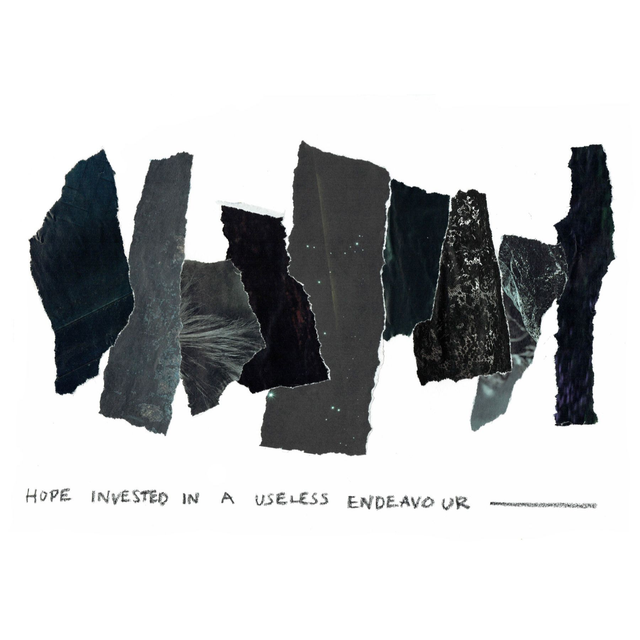 Hope Invested In A Useless Endeavour