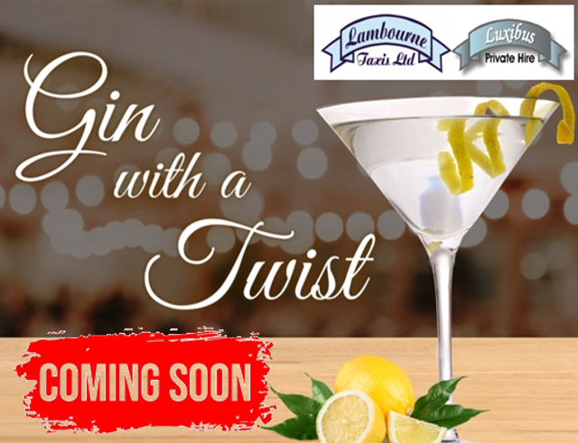 Gin with a Twist Tour