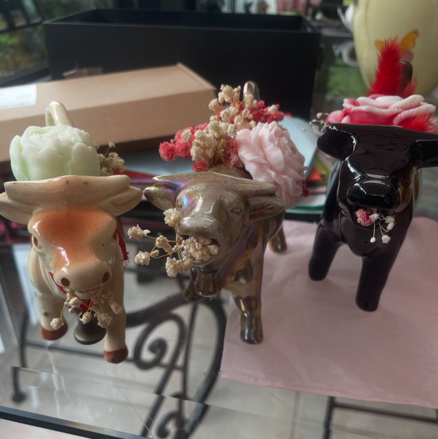 Vaches 