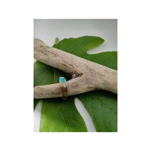 Bague terre mer