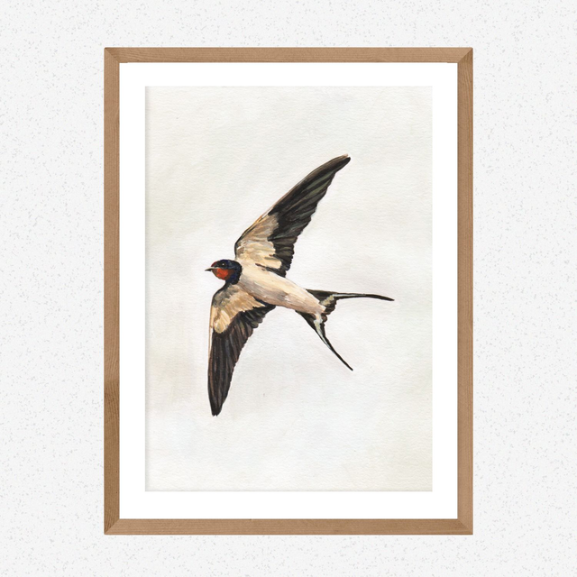 Flying Swallow Print