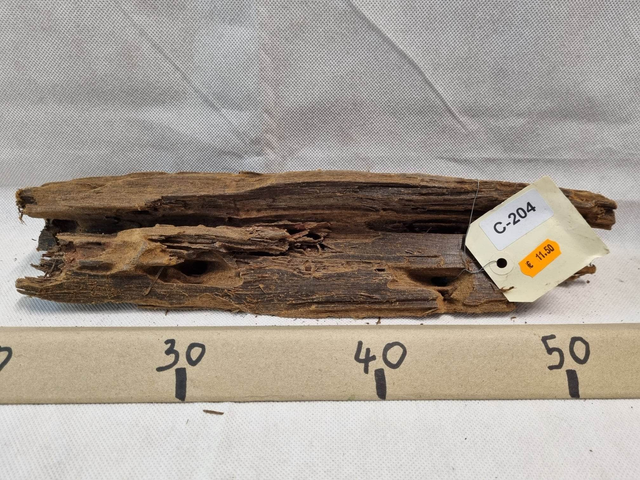 Racine Mangrove C-204