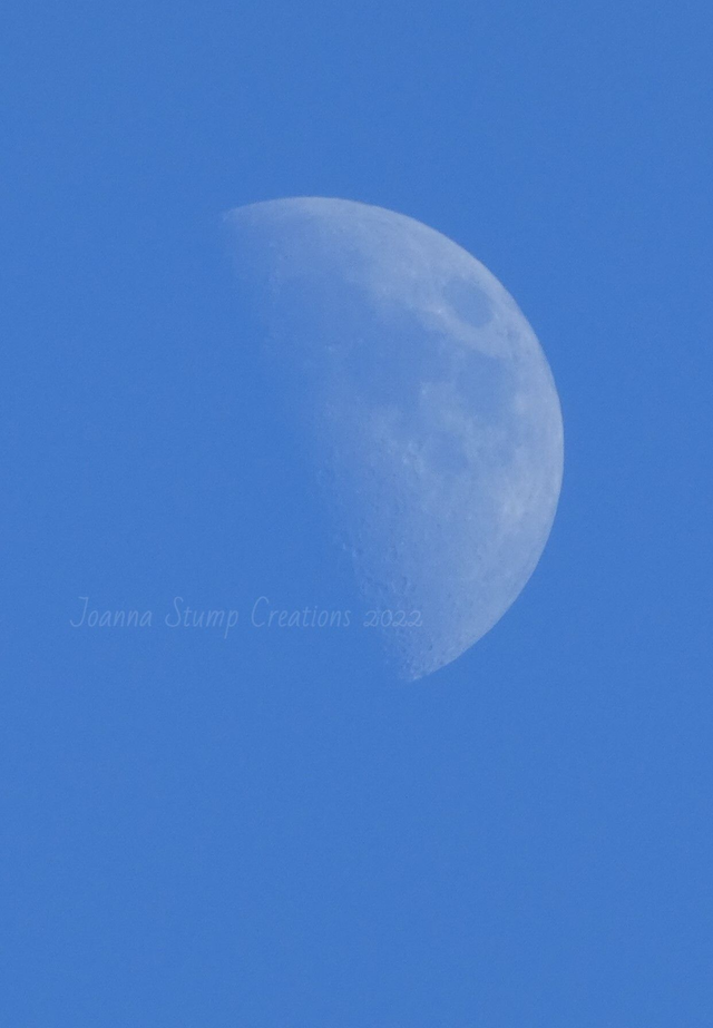 Photographic Open Edition Canvas Panel Print, from my, "Up High" collection, "Blue Moon"
