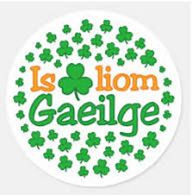 Ranganna Gaeilge Bunleibhéal | Beginner Irish Classes