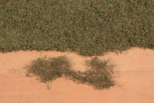 Floraison des feuilles héki 1680