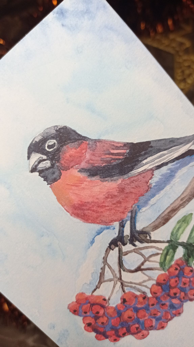 Carte Postale A6 – Bouvreuil Pivoine d’Hiver (Aquarelle)