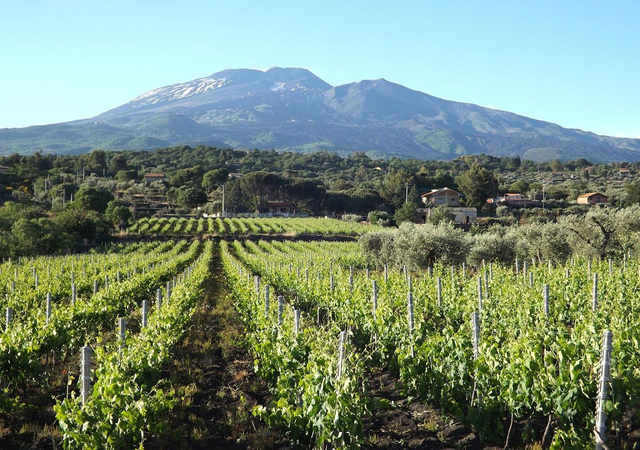 2 - SICILIAN LANDS EXPERIENCE