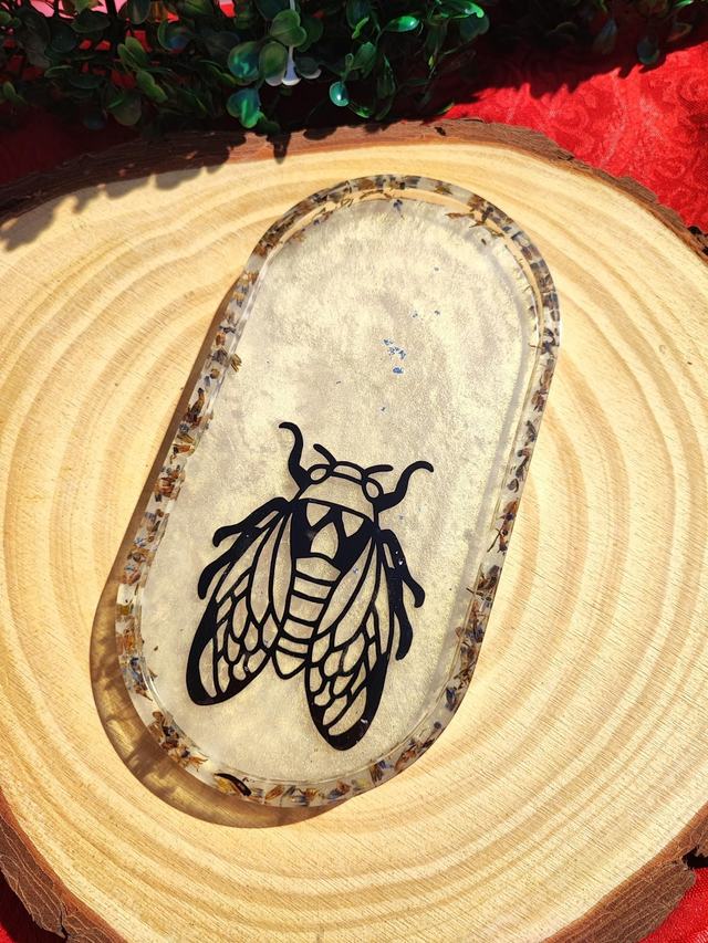 Plateau - Provençal