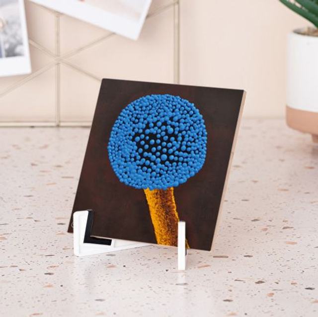 Piastrella "Aspergillus al Microscopio"