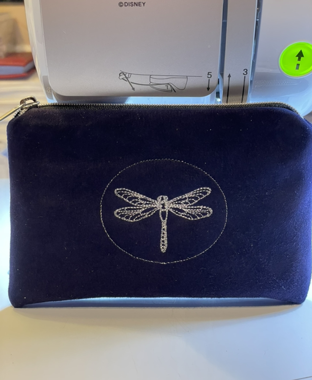 Silver Dragonfly pouch.