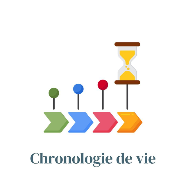 LA CHRONOLOGIE DES TRAUMAS DE VIE ET L'ARBRE DES ANCÊTRES