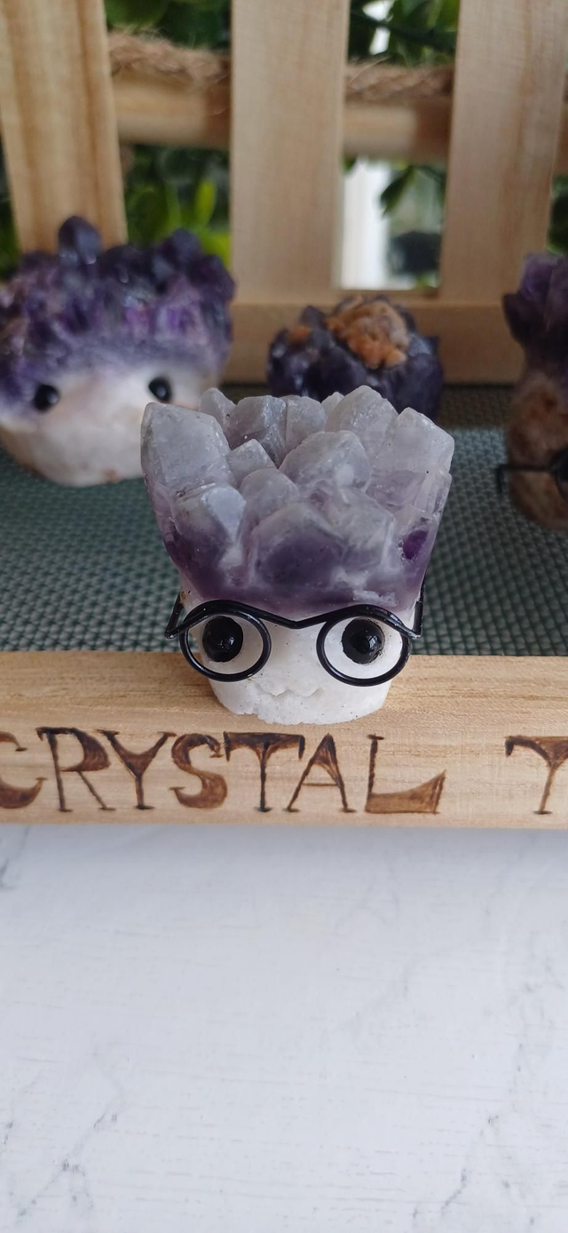 DUSTY Gleam - Crystal Critter Scholars 