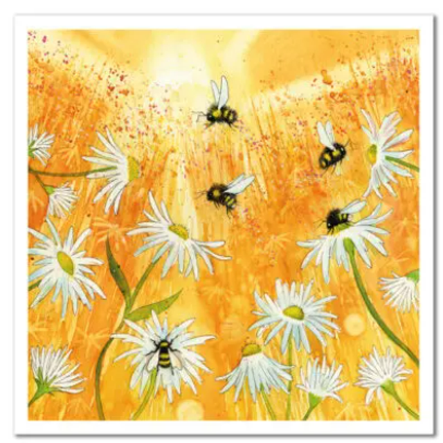 Greetings Card Camomile 