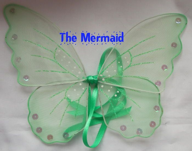 Vleugels:  1/4 &amp; 1/6: fairy (verschillende maten en kleuren)