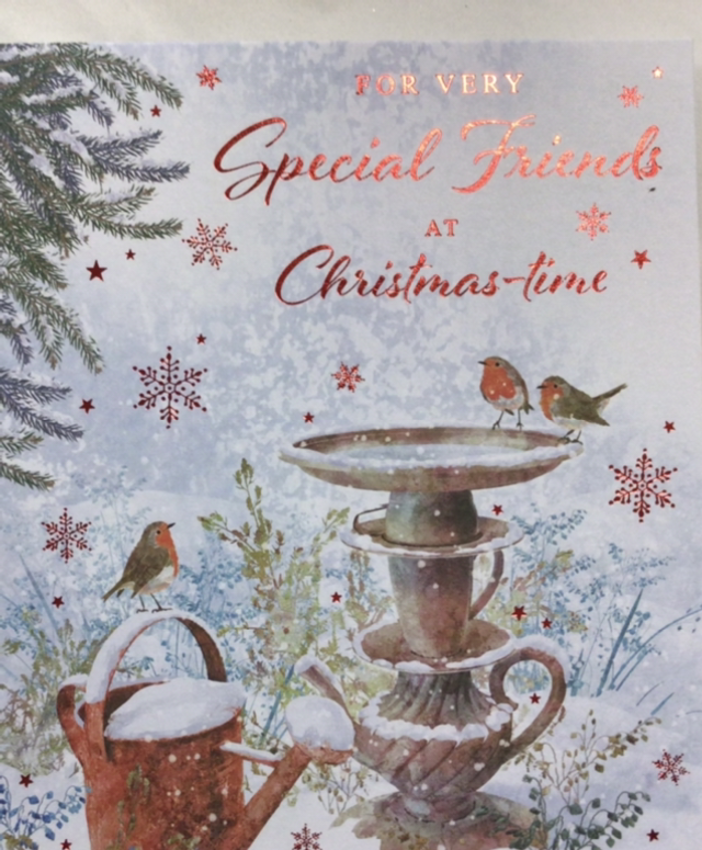 Christmas Special Friends (Robins on Bird Bath) NQ