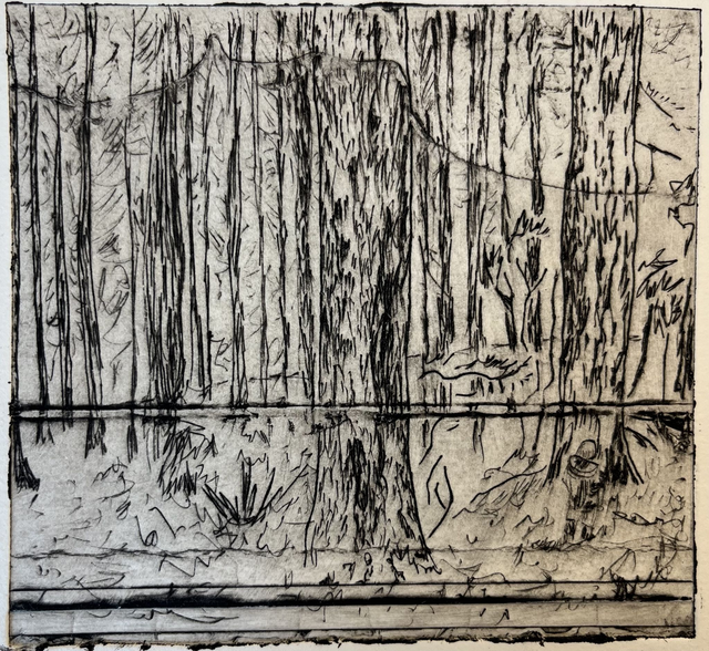 Boy in Cornish Woods