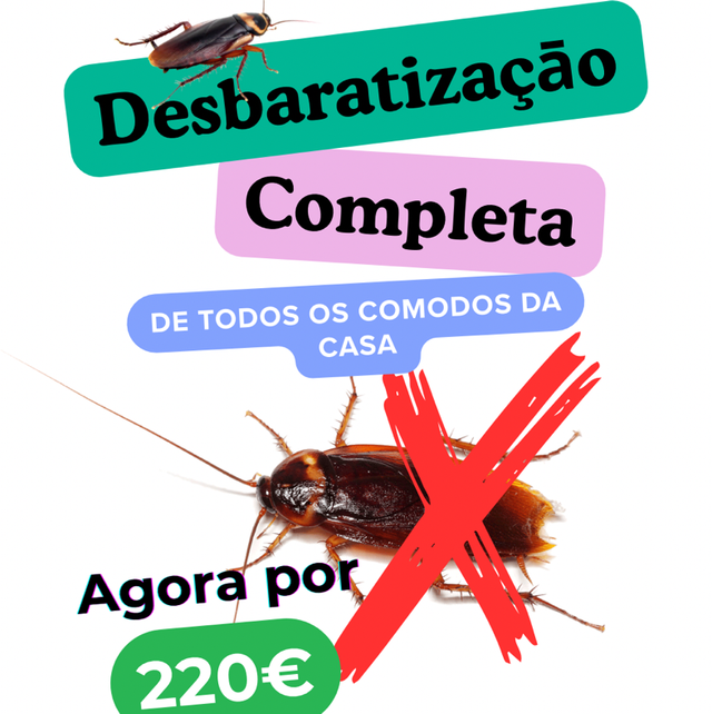 Desinfestação de Baratas
