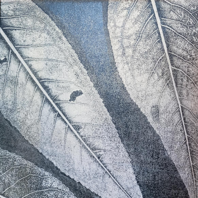 Album photo /Sketchbook