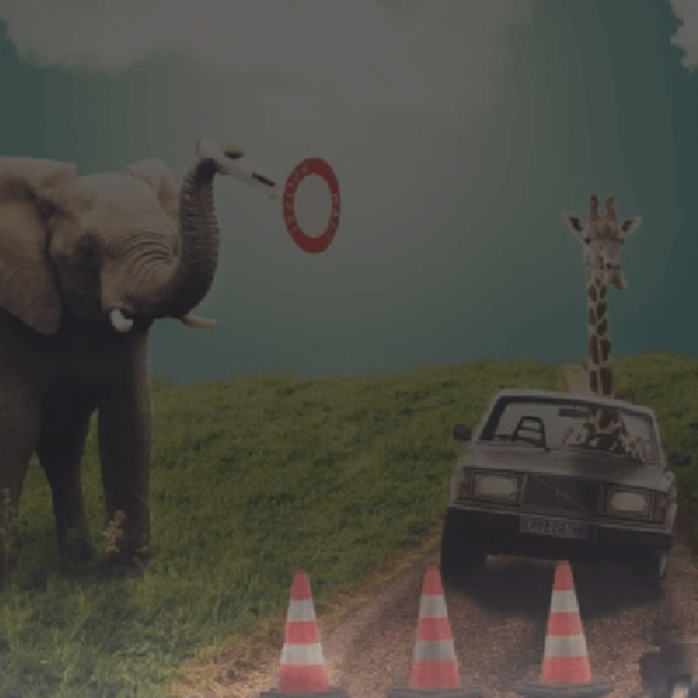 Dream Interpretation March