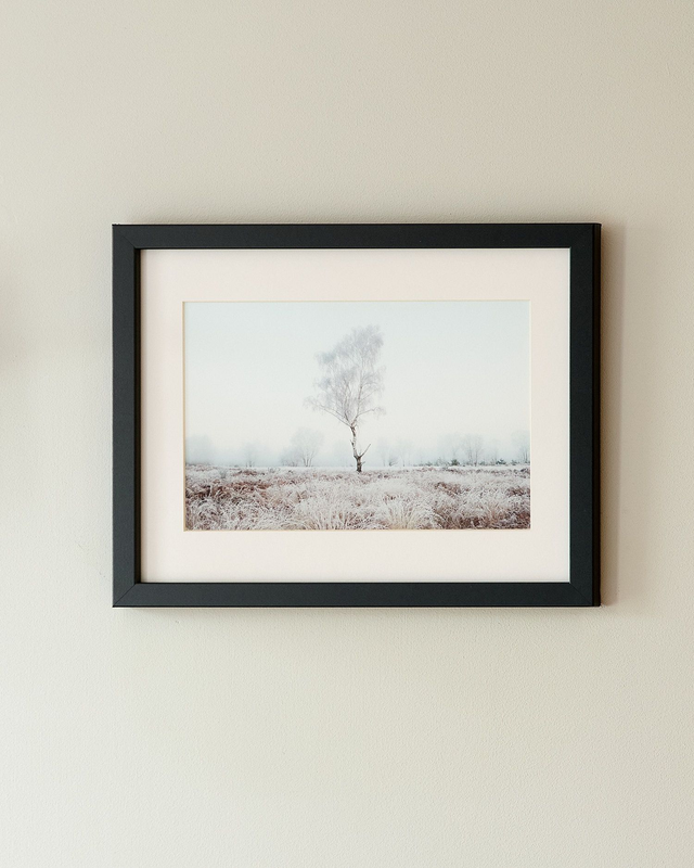 Hoar Frost Tree - Framed Print 15 ¼&quot; x 12 ¼&quot;