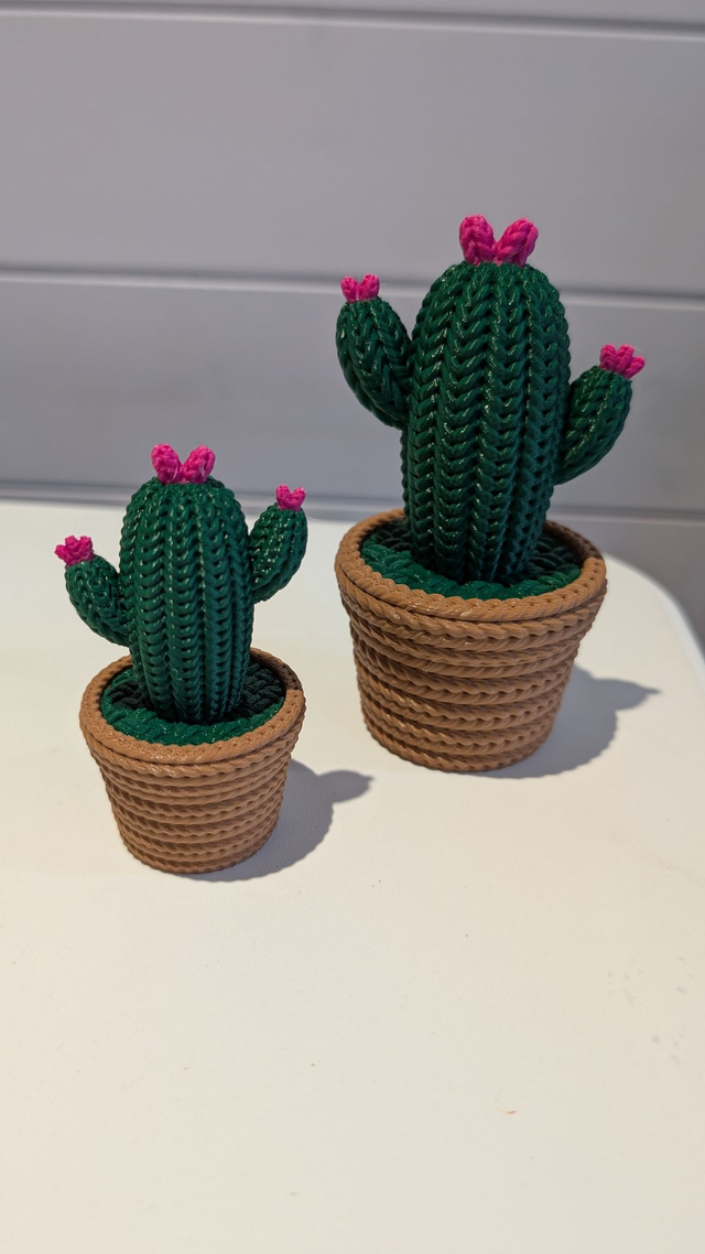 Pair Of Knitted Style Cactus Storage Pots