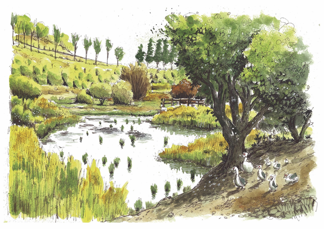 La Laguna de Valleseco