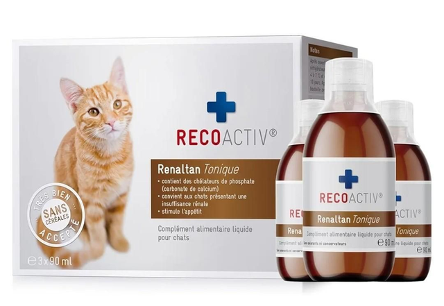 Zzz on hold Cat Renaltan Tonique