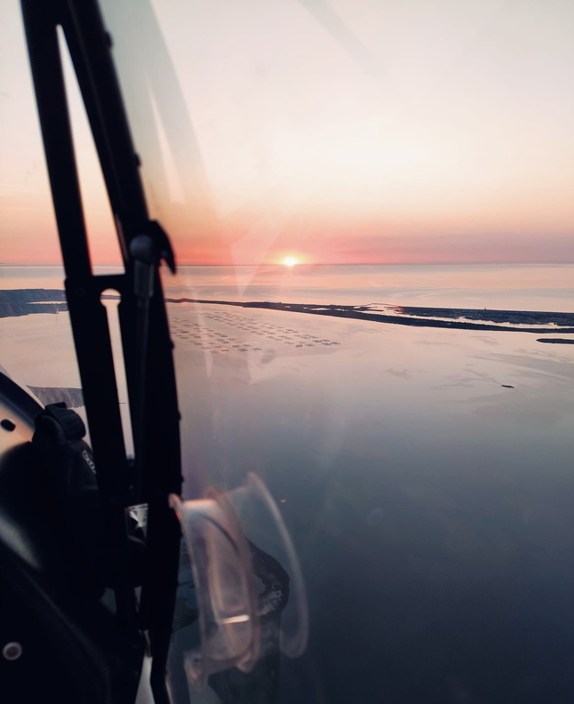 ᴄɪʀᴄᴜɪᴛ ᴅᴇᴄᴏᴜᴠᴇʀᴛᴇ