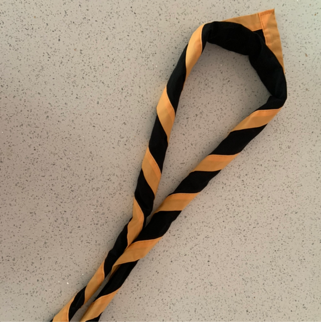 Neckerchief and Woggle