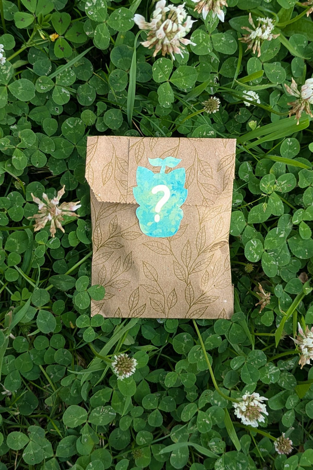 Pin's Potichat mystère