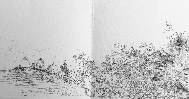 Winter - 20x48 cm - Ink on 300 gr paper