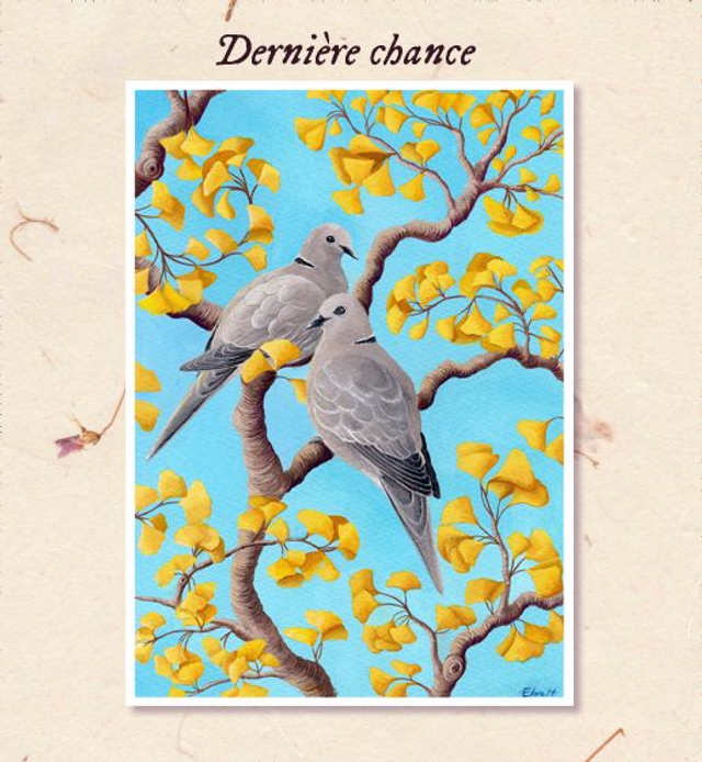 Dernière Chance - Impressions A5 &amp; A4 - Tourterelles &amp; Gingko 🐦